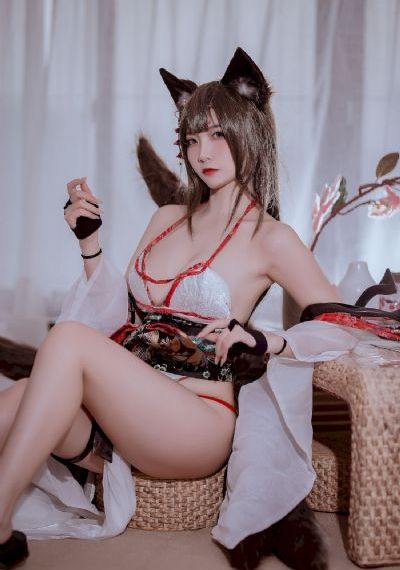 金装的维尔梅2
