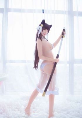 浪漫樱花动漫观看免费高清