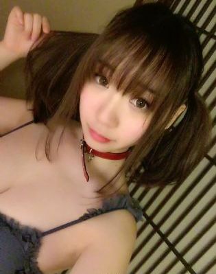樱花动漫入口