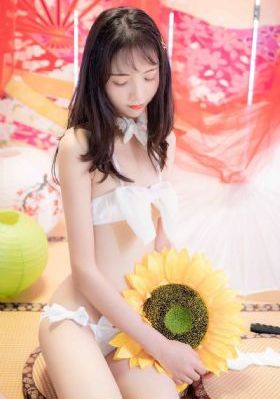 藩金莲与西门庆电视剧